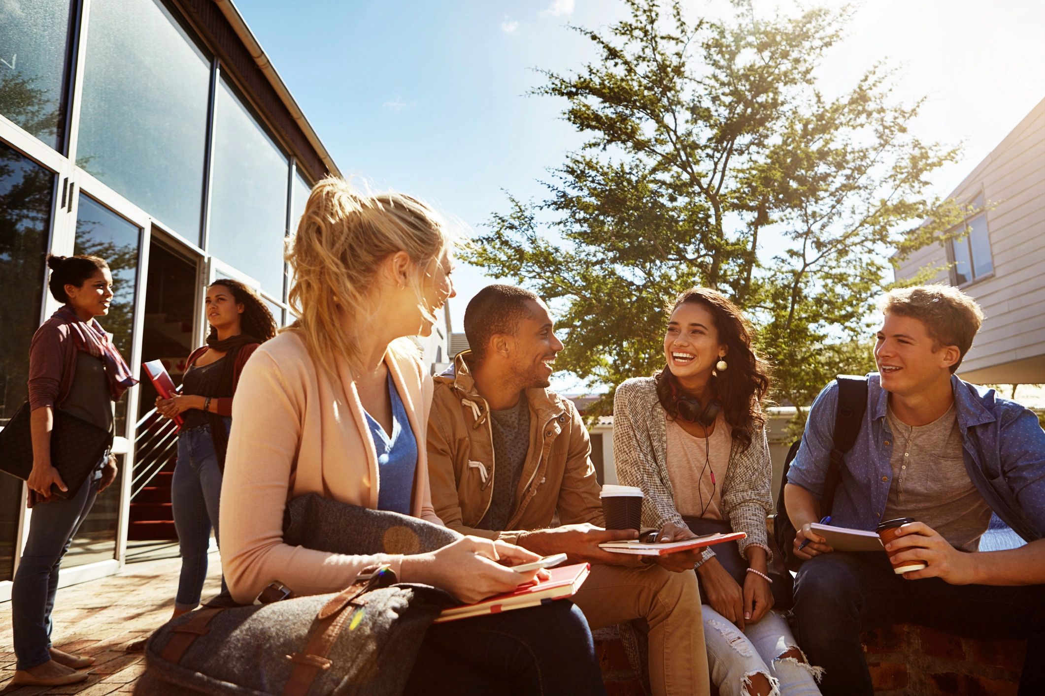 Students studying together outdoors on campus